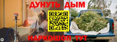 крисы Бийск