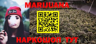 крисы Бийск