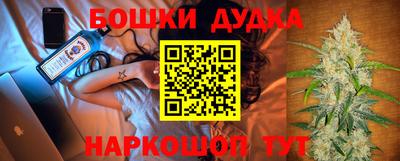 крисы Бийск