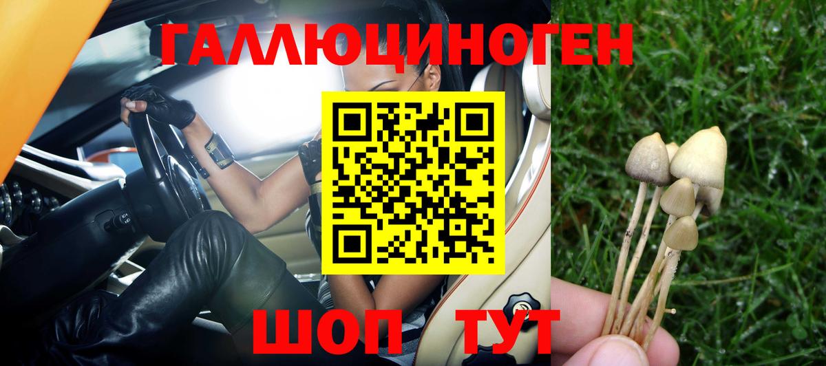 Ростов-на-Дону  Галлюциногенные грибы GOLDEN TEACHER  Вход с VPN  Галлюциногенные грибы Cubensis 
